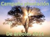 Campaña de plantación de árboles 2011