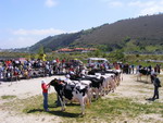 Todo listo para la Feria de Ganado