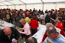 Exposición y degustación de setas en Luey